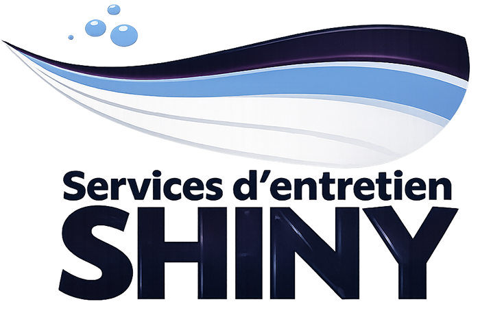 Shiny Entretien