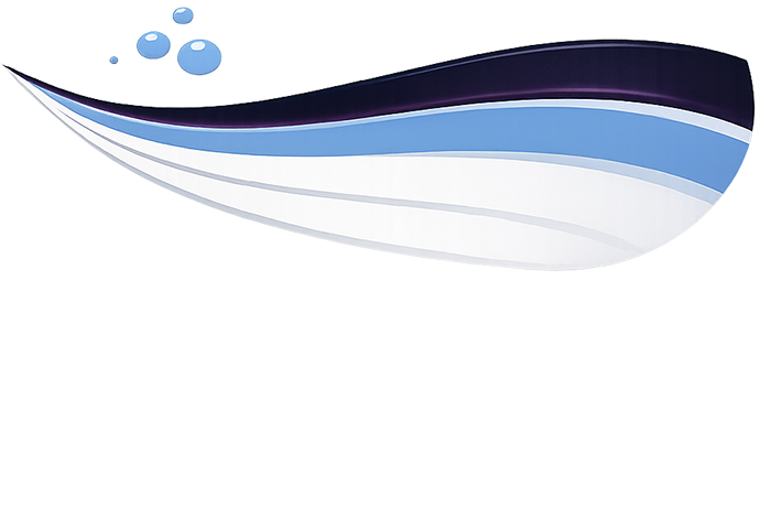 Shiny Entretien